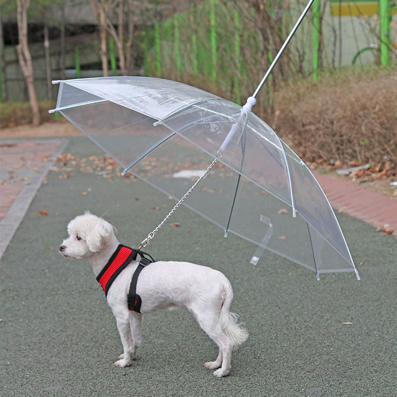 Pet Umbrella/Leash