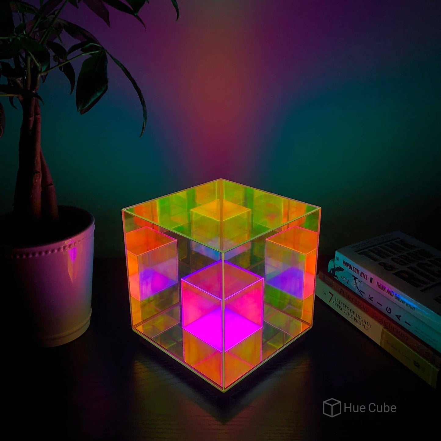 The Cube