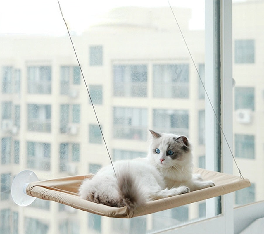 Cat Skyrise Bed Shelf
