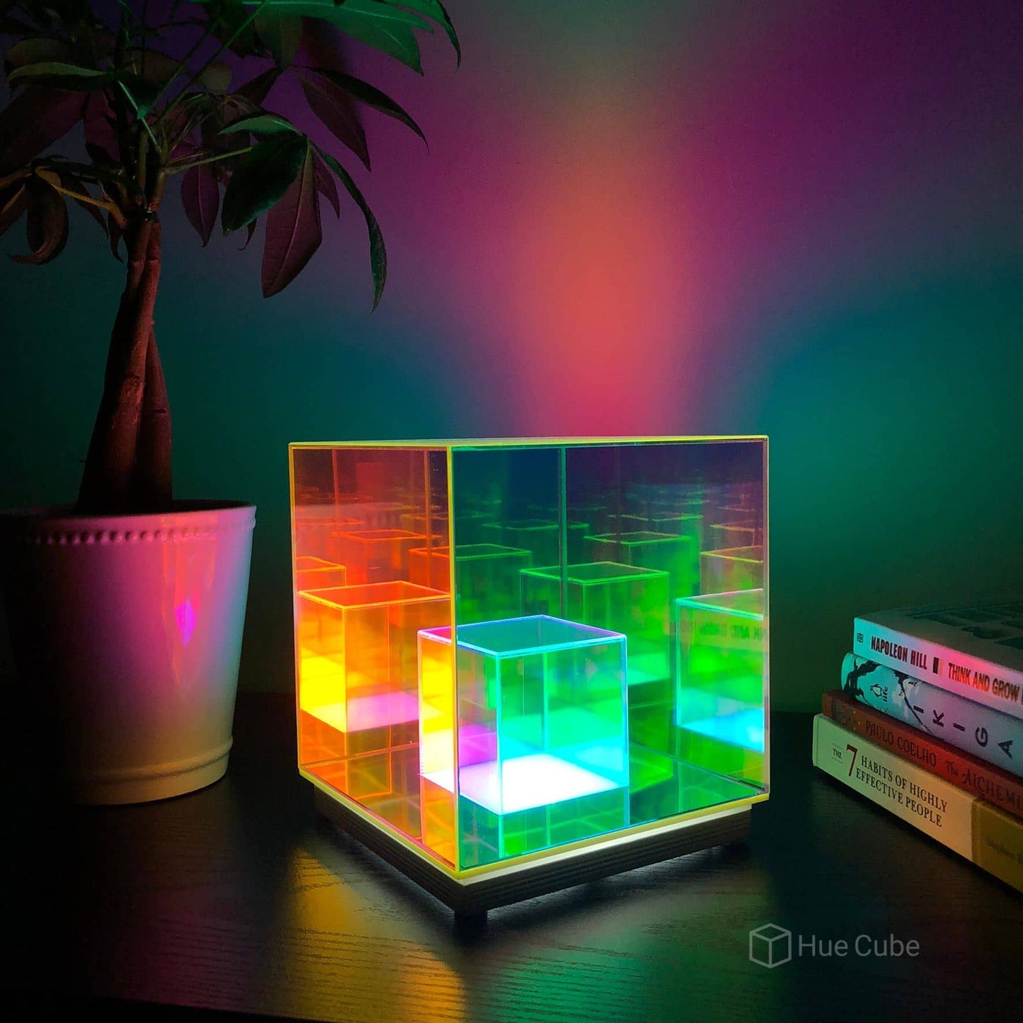 The Cube