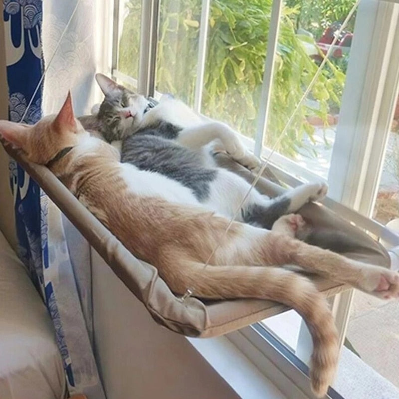 Cat Skyrise Bed Shelf